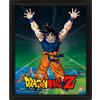 Pyramid International - Cornice Dragon Ball Z - Power - Effetto 3D - 25 x 20 cm - Licenza ufficiale