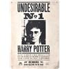 Half Moon BayHarry Potter Lamina Targa Metallo, Multicolor, unica