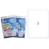 Tico Etichette multiuso bianche Tico E-150115 - 150 x 115 mm - 10 etichette