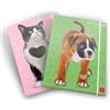 Pigna CARTELLE A 3 LEMBI A4 DORSO 1,3 CM - H00290