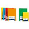 Favini Divisori neutro per raccoglitori 16x21 cm Favini colori assortiti in cartoncino - 10 schede (conf. 10)
