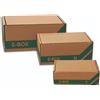 Blasetti Scatola spedizioni Blasetti E-box - 48 x 30 x 21 cm (conf. 10)