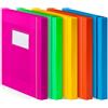 Plastidea Scatola archivio progetti A4 colori assortiti Plastidea Fluo 24,3x33 cm - dorso 30 cm