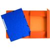 Exacompta Cartelline 3 lembi con elastico in cartoncino stampate colori assortiti Exacompta Nature Future - 24x32 cm (conf. 10)