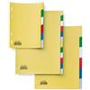 Sei Rota Divisori neutro per raccoglitori 21x29,7 cm Sei Rota colori assortiti in PPL - 12 schede