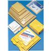 Blasetti Buste a sacco Blasetti Sacboll in carta avana (22 gr) - 20x32 cm (conf. 10)