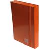 Blasetti Scatola archivio progetti A4 arancione Blasetti One Color 25x36 cm - dorso 3 cm
