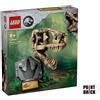 LEGO 76964 Jurassic World Fossili di dinosauro: Teschio di T.rex