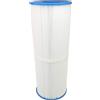 SWAN Filtro Swan per piscina compatibile Pleatco prb25in