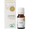 ALTA NATURA Essentia canfora olio essenziale purissimo 10 ml - ALTA NATURA - 930467612