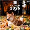 Finocam - Calendario da parete 2026 18x18 Layout mensile Gennaio - Dicembre 2026 + Sett. - Dic. 2025 (4 mesi) ridotto | Calendario 2026 | Immagini Dogs - Internazionale