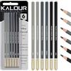 KALOUR PDAS Set di Matite di Carbone di Salice Professionali - 6 Leggere, Medie e Scure per Disegnare, Schizzare, Ombreggiare - per Artisti Principianti e Esperti