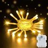 Dalugo Luci LED Bianco Caldo, 2m 20LED Luci a Batteria con Timer 6h per Decorazioni Natalizie all'interno e all'aperto