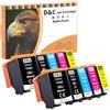 D&C 202XL Cartucce per Epson 202 XL Compatibili con Epson Expression Premium XP-6000 XP-6105 XP-6001 XP-6005 XP-6100, Lot de 10