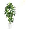 ZEEOZE Pianta Artificiale Dracaena da 210cm Piante Finte da Interno Con Fioriera Alta Bianca Piante Artificiali da Esterno Per Soggiorno Camera da Letto Ufficio Casa Corridoio Decorazione (1Pz)
