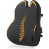 ProtoArc Cuscino di supporto lombare per sedia da ufficio, cuscino di supporto per la schiena in memory foam per la parte bassa della schiena, cuscino lombare per sedia da scrivania - Nero