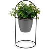 Ibergarden Pianta, Multicolore, Standard