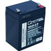 Quality Batteries Q-Batterie 12LS-2.9 12V 2,9Ah Batteria al piombo / AGM