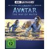 LEONINE Avatar - The Way of Water - Steelbook (4K Ultra HD) (+ Blu-ray) (+ Bonus-Blu-ray)