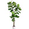 Leflos 150cm Pianta Artificiale Fiddle Leaf Fig Tree Indoor, Tropical Ficus pandurata Hance, Albero di Ficus con ramo e foglie regolabili, decorazione per soggiorno, ufficio, festa e celebrazione