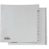 Sei Rota 581301 355321 - Separatori numerici Record in PP Sei Rota - 31 tasti - Separatori numerici in PP con foratura universale adatti alla suddivisione giornaliera e mensile. Colore grigio. Formato 21x29,7 cm. - Nr. tasti: 31