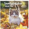 Alpha Edition - Calendario 2026 in velluto - Calendario da parete & calendario immagini 30 x 30 cm (30 x 60 cm aperto) con simpatici motivi di gatto, con poster, per amanti dei gatti e amici degli