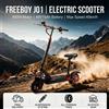 FREEBOY J01 Scooter elettrico per adulti Motore 800W, doppio freno idraulico 48V15Ah, con sedili Scooter automatico da crociera per pneumatici da 10"
