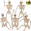 JOYIN 5 Pezzi Scheletri di Halloween Posabili 16 Pollici Giunti Posabili per Tutto Il Corpo Scheletri Sospesi per Decorazioni del Cimitero, Accessori per Case Stregate, Bomboniere per Scene Spettrali