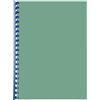 Titanium 100 dorsi plastici 21 anelli 10mm blu titanium - Z04821