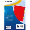 Starline Divisori neutri 12 tacche - A4 Maxi - PPL - colori assortiti - Starline - G02862
