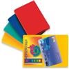 Sei Rota Busta porta card - 5,8x8,7 cm - 2 tasche - colori assortiti - Sei Rota - D05657