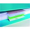 Exacompta Divisori neutro per raccoglitori 10,5x24 cm Exacompta colori assortiti in cartoncino - 100 schede