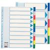 Esselte Divisori neutro per raccoglitori A4 Esselte Maxi colori assortiti in PPL - 10 schede