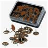 Leone Dell'Era Scatola 50 puntine marrone inflex Leone - Z10000