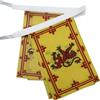 AZ FLAG GHIRLANDA 6 metri 20 BANDIERE REALE DELLA SCOZIA 21x15cm - BANDIERA SCOZZESE CON STEMMA 15 x 21 cm - FESTONE BANDIERINE - AZ FLAG