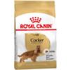 Royal Canin Cocker Adult - Sacchetto da 3kg.