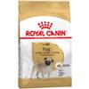 Royal Canin Carlino Adult - Sacchetto da 1,5kg.