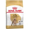 Royal Canin Barboncino Adult - Sacchetto da 1,5kg.