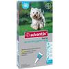 ADVANTIX 4 - 10KG 4pip x 1ml/10