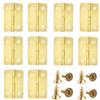 Heuskay 20 Pezzi Cerniere Piccole, Mini Cerniere Pieghevoli a Battente Bronzo Antico Mini Cerniere Retro a Battente Metalliche per Scatola Portagioielli in Legno, 37x25 mm, Oro
