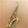 Yanagisawa Sassofono contralto Yanagisawa A-WO10 finitura laccata ottone dorato chiave E...