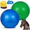Sotiff 2 palline per cavalli da 101 cm per giocare, grandi palline da pastore per cavalli, anti-scoppio, gigante, giocattolo per cavalli, con pompa inclusa (verde, blu, 100 cm)