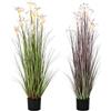 DKD Home Decor Impianto Ornamentale, Standard