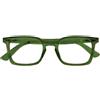 Mast Industria Italiana OCCHIALE TWINS SILVER PRIMITIVO VERDE +1,00 1 St