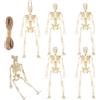WEITAPYT 6 PCS Scheletro Halloween, Scheletro Giocattolo, Con 5 M Corda di Canapa Halloween Decorazioni Scheletros, Adatto per Decorazioni per Feste di Halloweens E Oggetti di Scena per Case Infestate