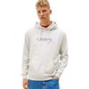 Tommy Jeans Felpa con Cappuccio da Uomo Tjm Reg Entry Dna Play Hood DM0DM22642, Grigio (Grigio Ghiaccio), XS, Grigio (Grigio Ghiaccio), XS