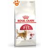 Royal Canin Cat Fit 32 - Sacco Da 400 Gr