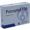 BIOGROUP SpA SOCIETA' BEN PSICOPHYT REMEDY 13A 4 Tubi Globuli