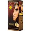 COLOR TIME | Tinta Permanente in Gel Colore Sogno di Rubino 66 | Arricchita con Gelatina Reale e Vitamina C | Colorazione Permanente per Capelli | Copre i Capelli Bianchi | 100 ML