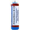 Hering PULSATILLA%30CH 80GR 4G